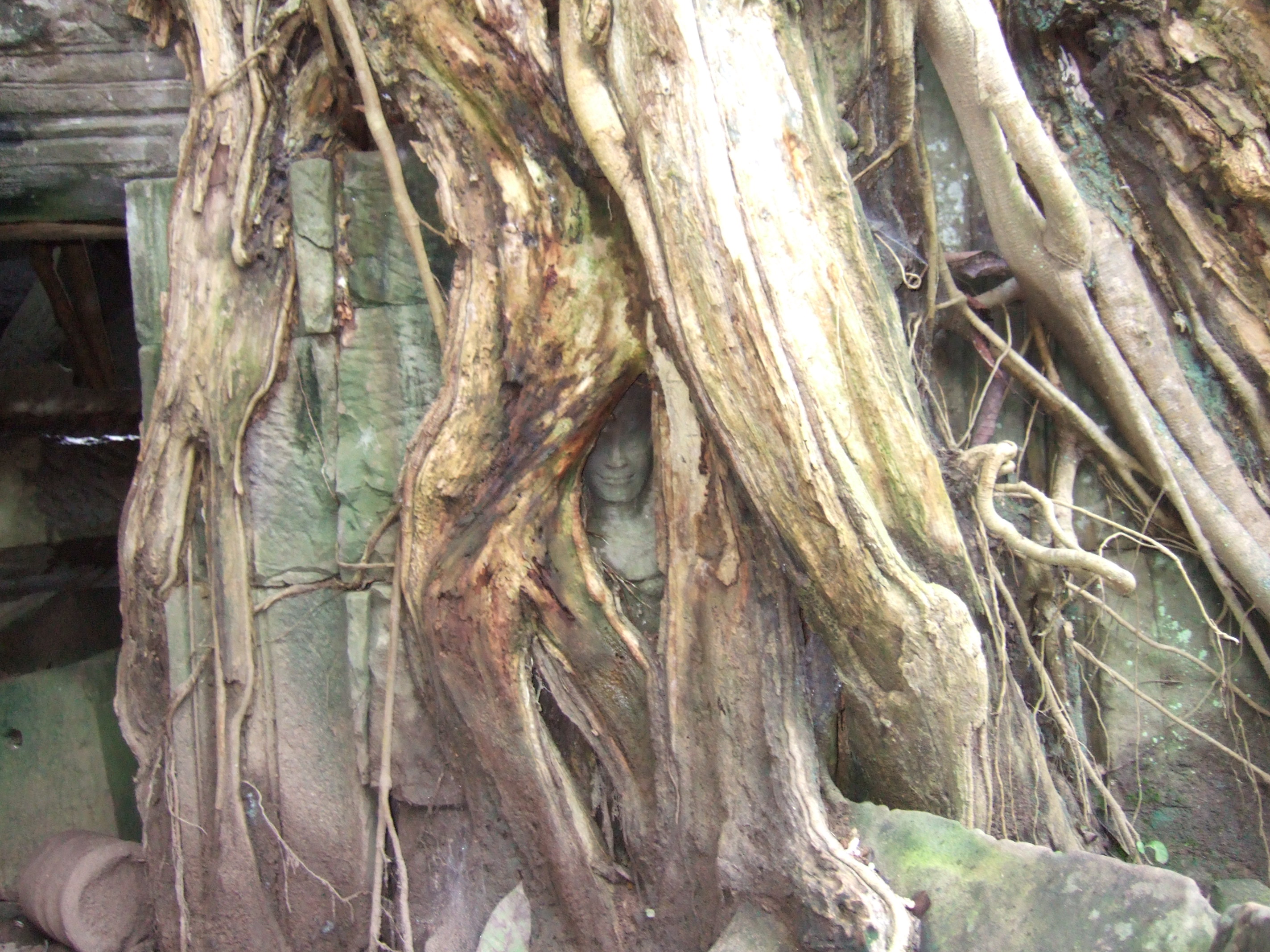 Angkor, Cambodia